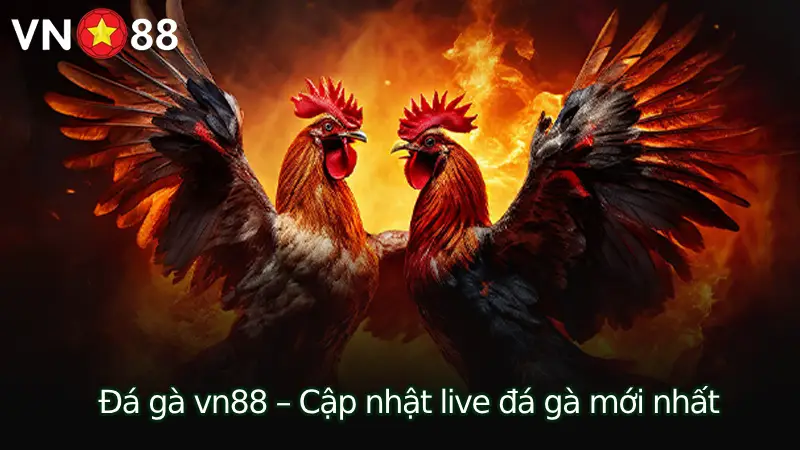 Giới Thiệu Sảnh Đá Gà VN88: Tổng Quan và Điểm Nổi Bật